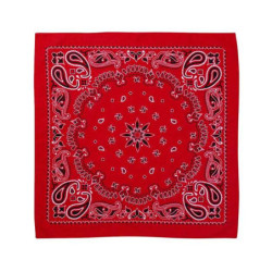 ValuMask Bandana